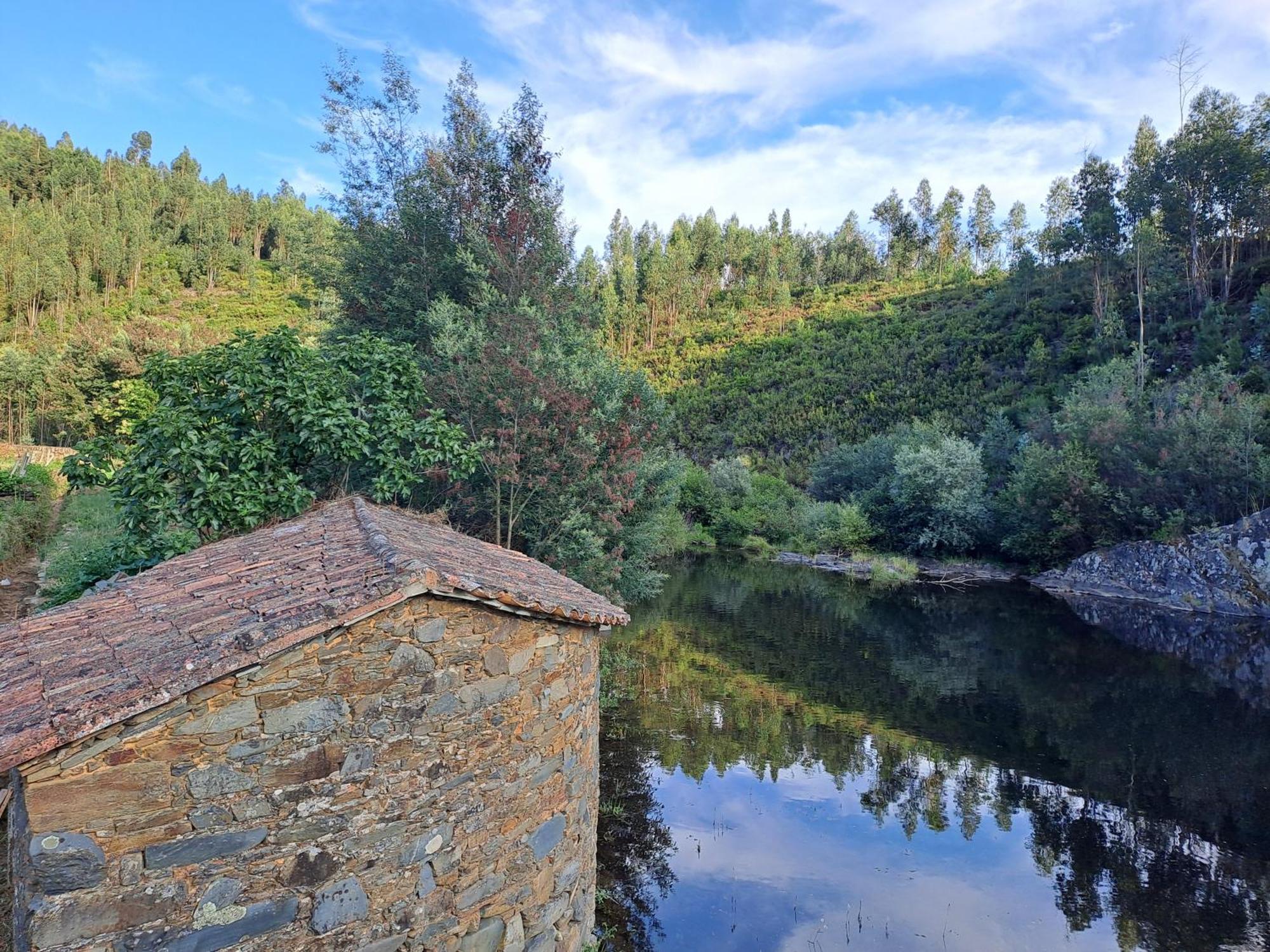 Vista Castelo Bed & Breakfast Sertã Exterior photo